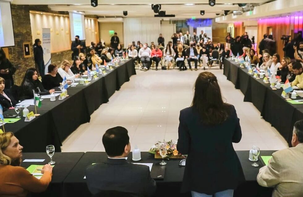 Tierra del Fuego participó de la 90° Asamblea del Consejo Federal de Discapacidad