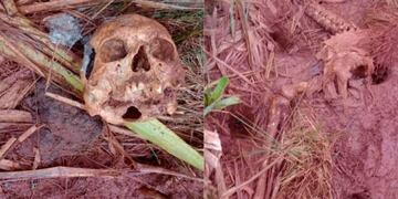 Encuentran restos humanos en un sector de campo en la localidad de Apóstoles.