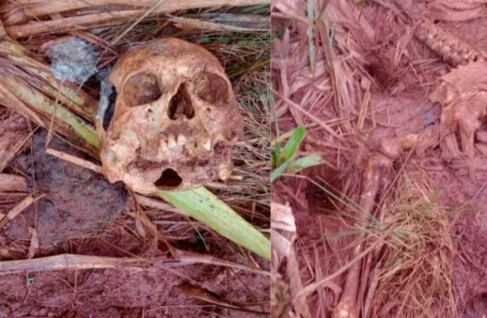Encuentran restos humanos en un sector de campo en la localidad de Apóstoles