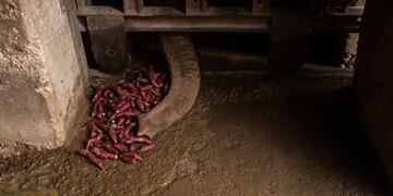 Tamy está más cerca de su libertad. (Ignacio Blanco / Los Andes)