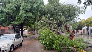 Lluvia en Córdoba (Ilustrativa)