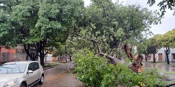 Lluvia en Córdoba (Ilustrativa)