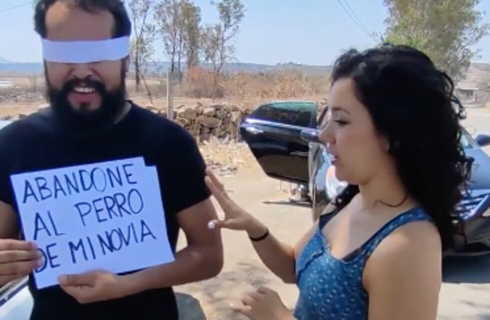 Abandonó a su perro porque no era de raza y su novia lo dejó tirado en la ruta