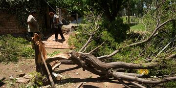Fuertes vientos y caida de granizo sobre viviendas y terrenos cultivados
La tormenta del jueves afectó unas 17 mil hectáreas productivas de Lavalle y zona Este
