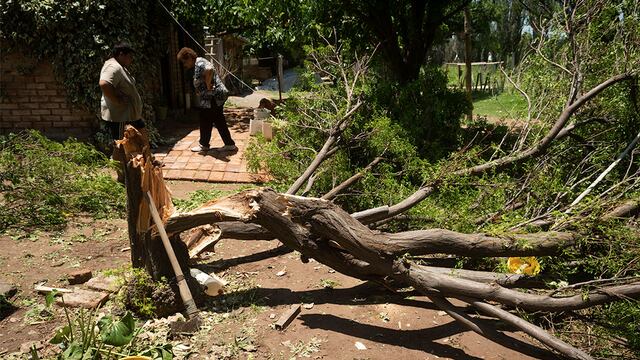 Fuertes vientos y caida de granizo sobre viviendas y terrenos cultivados 
La tormenta del jueves afectó unas 17 mil hectáreas productivas de Lavalle y zona Este