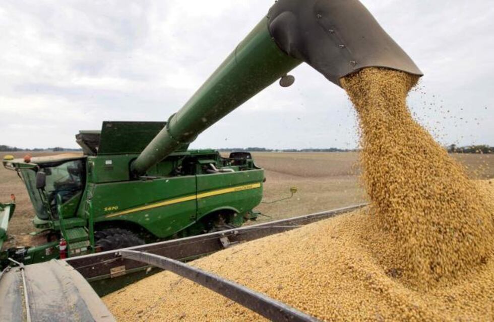 Toro Pujio: llevaba 30.000 kgs. de soja y no tenía los papeles