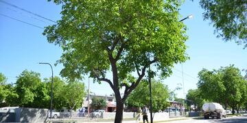 La ola de calor se extenderá toda la semana.