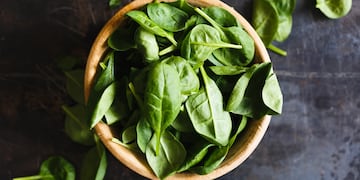 La albahaca es una aliada natural para repeler insectos y aromatizar el hogar desde el balcón.