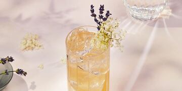 Highball Consciente & Low ABV