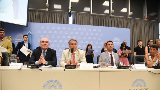 La Cámara de Diputados debate en comisiones la suspensión de las PASO (Foto: HCDN)