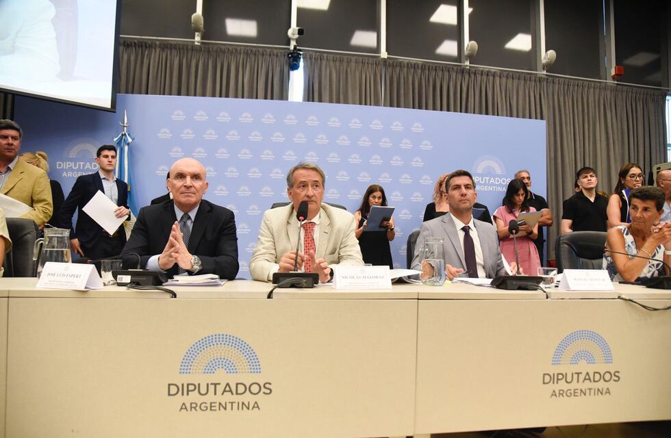 Con ayuda clave del peronismo, La Libertad Avanza logró dictaminar la suspensión de las PASO