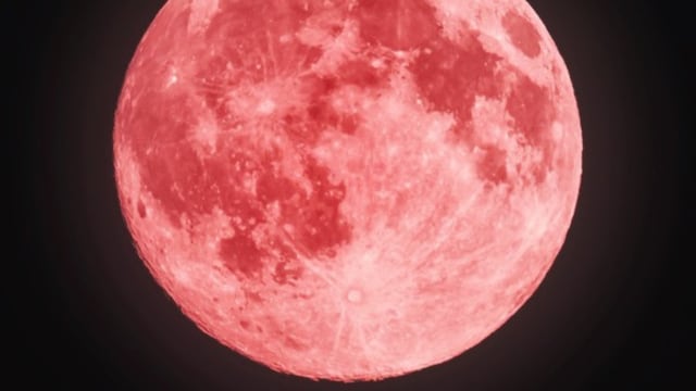 Luna Llena Rosa en Abril 2025: cómo afectará  este evento astronómico a tu signo zodiacal.