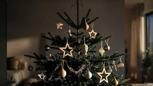 ¿Cuánto sale armar el arbolito de Navidad?