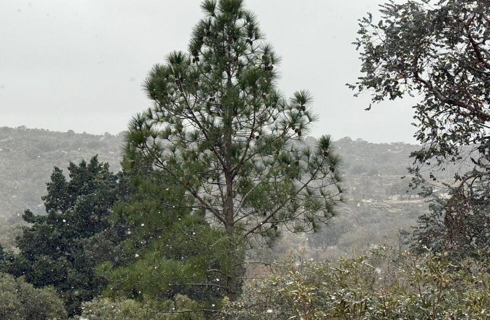 El frío polar llega con nieve a Carlos Paz y el Valle de Punilla