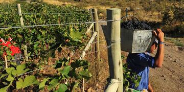 La fiesta es para honrar a los trabajadores de la tierra.