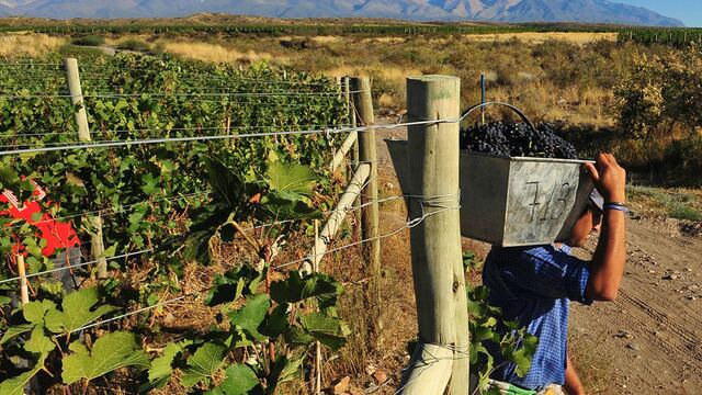 La fiesta es para honrar a los trabajadores de la tierra.