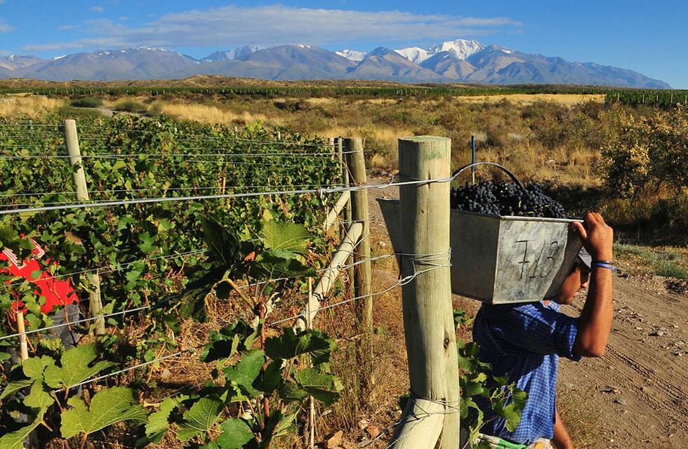 El Chaqueño Palavecino es uno de los artistas que tocará en el Festival del Cosechador