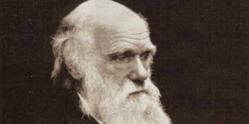 Charles Darwin, biólogo y naturalista inglés.  (La Voz / Archivo)