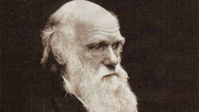 Charles Darwin, biólogo y naturalista inglés.  (La Voz / Archivo)