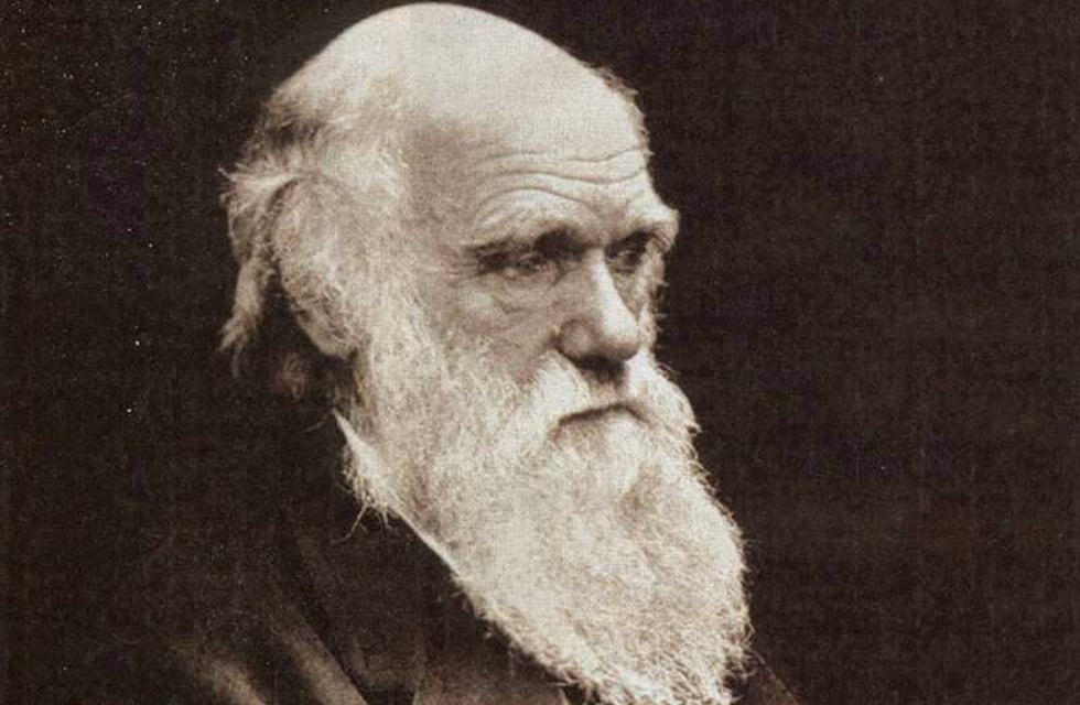 Septiembre: el mes de Darwin en Punta Alta