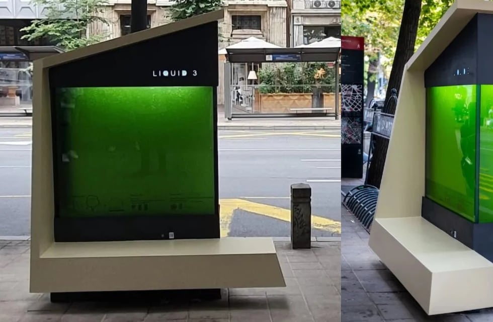 Árboles líquidos: la nueva tecnología para eliminar la contaminación en Argentina