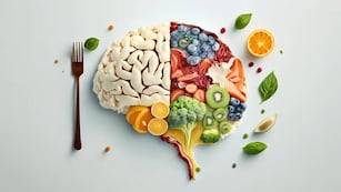 Cómo afectan los alimentos procesados en el desarrollo del Azhéimer.