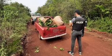 Un hombre terminó detenido por el robo de hoja verde en Apóstoles.