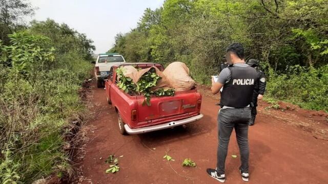 Un hombre terminó detenido por el robo de hoja verde en Apóstoles.