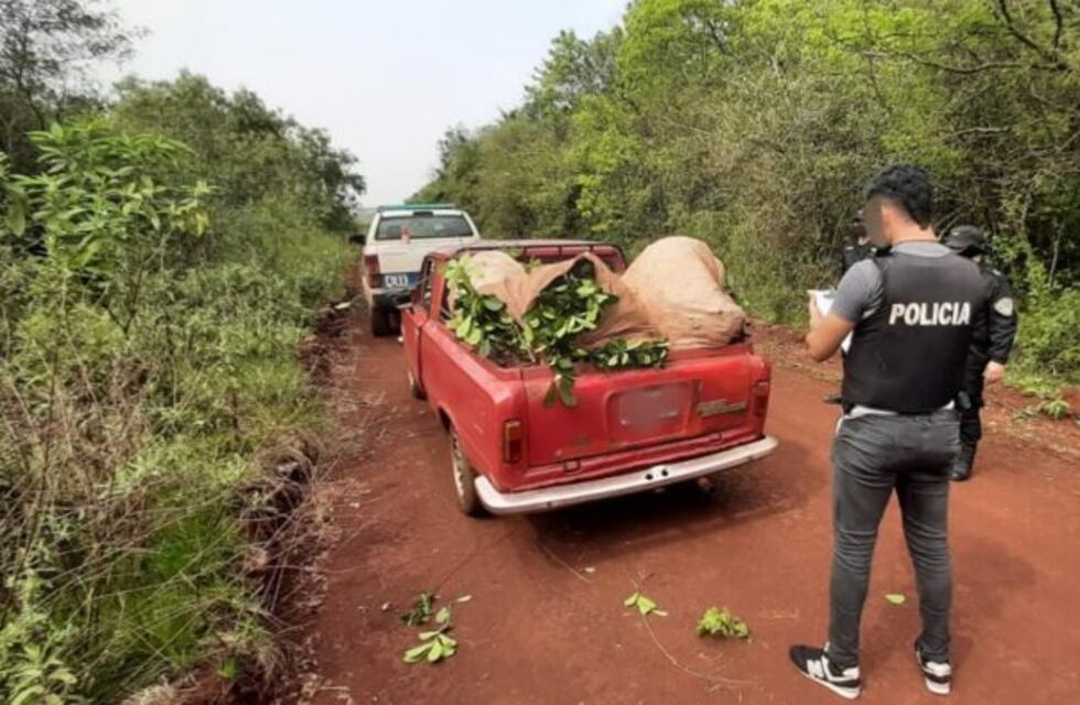 Un hombre terminó detenido por el robo de hoja verde en Apóstoles