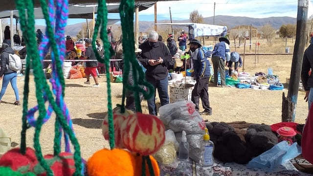 23.ra Expo-Feria de Reproductores de Camélidos y Ovinos y 16.ta Feria de Artesanos y Agricultores, en La Intermedia, Yavi.