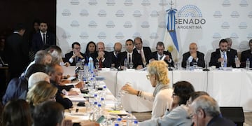 Segundo plenario de comisiones del Senado por la "ley bases". Foto: Clarín