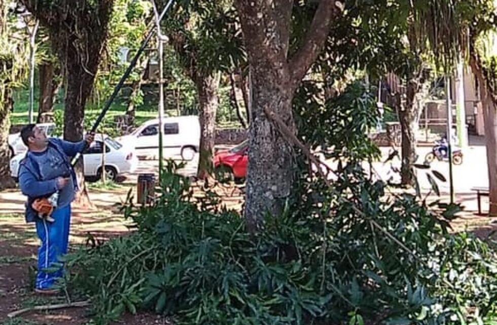 La plaza San Martín de Puerto Iguazú se encuentra en obras de mantenimiento