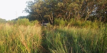 El auto terminó en la banquina.