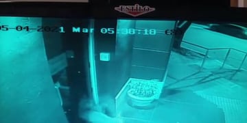 Un puma rompíó la puerta de vidrio de la municipalidad de Río Primero.