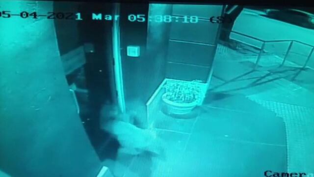 Un puma rompíó la puerta de vidrio de la municipalidad de Río Primero.