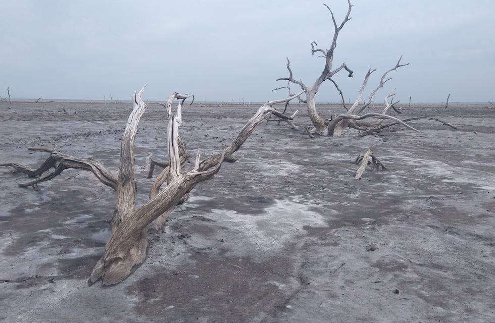 La Paquita ofrece el gusto pleno por la naturaleza