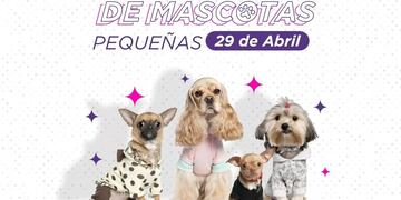 Eldorado: organizan un desfile en conmemoración del Día del Animal.