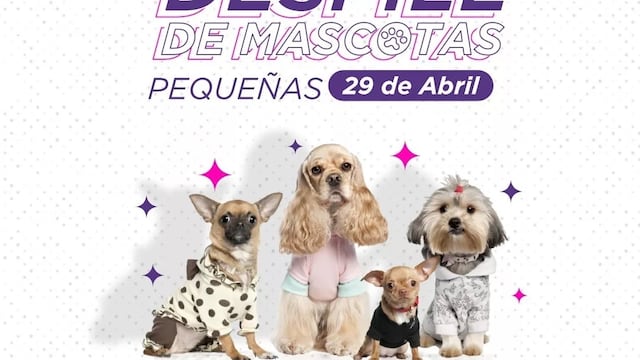 Eldorado: organizan un desfile en conmemoración del Día del Animal.