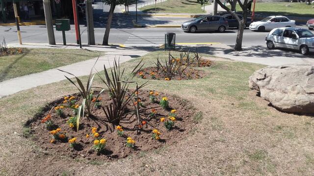 Acondicionamiento de plazas y canteros ubicados en avenidas principales.