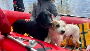 El cordobés se encuentra trabajando con su equipo y un grupo de voluntarios en Bahía Blanca. (Gentileza)