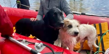 El cordobés se encuentra trabajando con su equipo y un grupo de voluntarios en Bahía Blanca. (Gentileza)