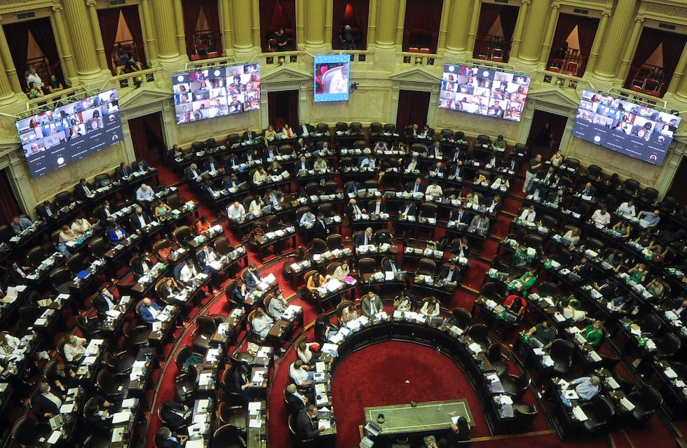 Debate del aborto: cómo votaron los diputados fueguinos y qué argumentaron