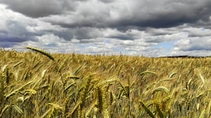 El productor rural falleció en un viaje cuando volvía a Córdoba con cajas de Navidad para sus empleados. (Freepik/Ilustrativa).