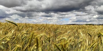 El productor rural falleció en un viaje cuando volvía a Córdoba con cajas de Navidad para sus empleados. (Freepik/Ilustrativa).