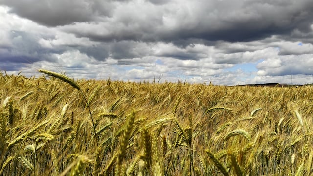 El productor rural falleció en un viaje cuando volvía a Córdoba con cajas de Navidad para sus empleados. (Freepik/Ilustrativa).