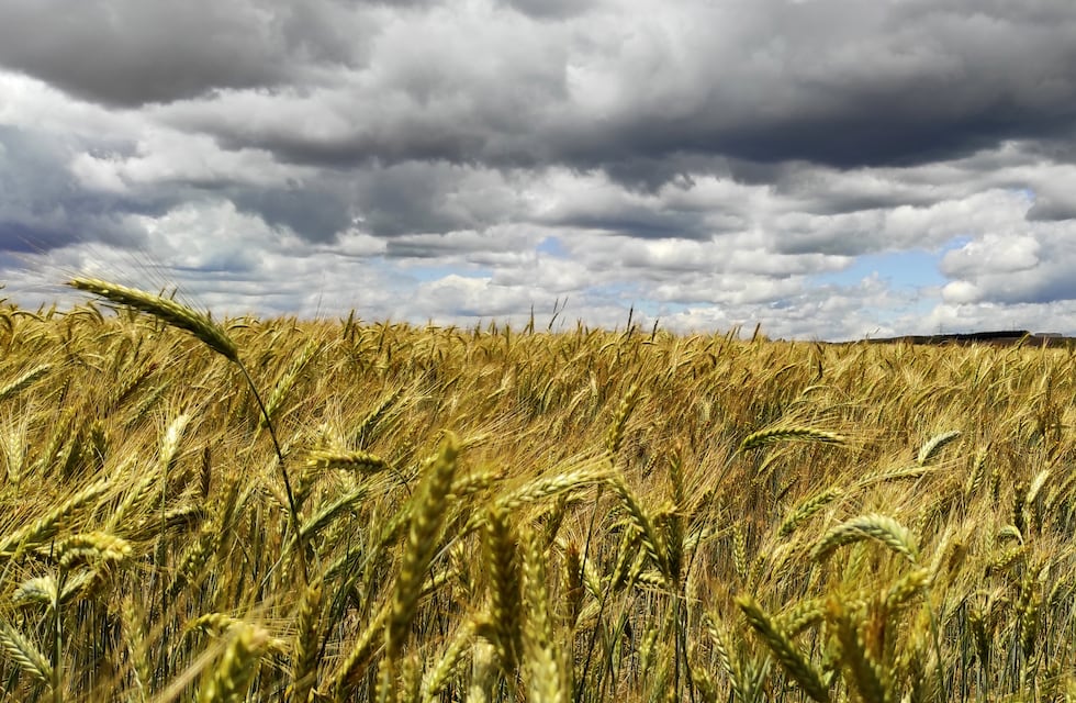 Un renombrado productor rural de Córdoba murió mientras llevaba cajas de Navidad a sus empleados
