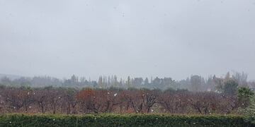 Comenzaron a caer los primeros copos de nieve en el Gran Mendoza.