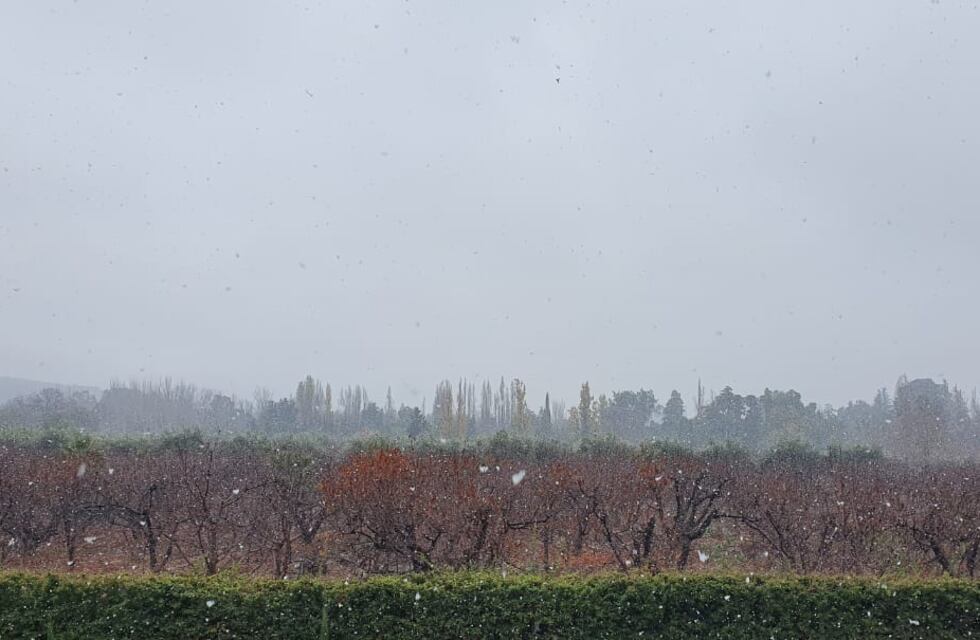 Nieva en Mendoza y las redes se inundaron de fotos y videos