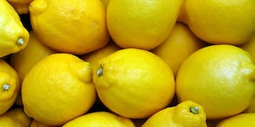 Las semillas de limón pueden reutilizarse en el jardín para potenciar el desarrollo de raíces y proteger plantas de manera natural.