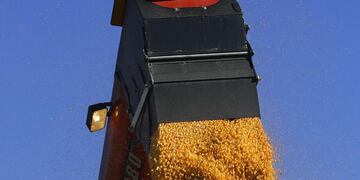 Exportación de cereales, el fuerte de San Luis.